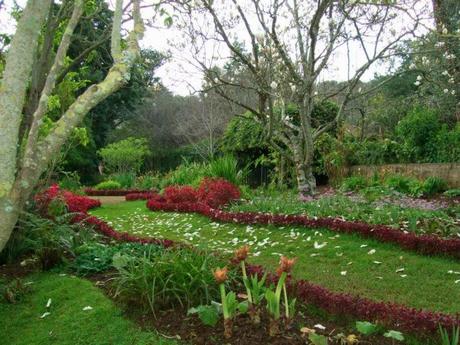Madeira Series: Palheiro Gardens