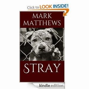 Amazon Breakthrough Novel Contest: STRAY Is Shopping For Shoes