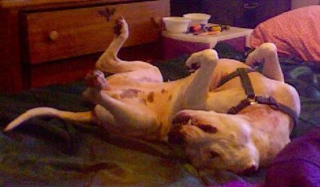 Photo on 2014-01-26 at 13.54 #3