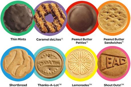 office politics and girl scout cookies