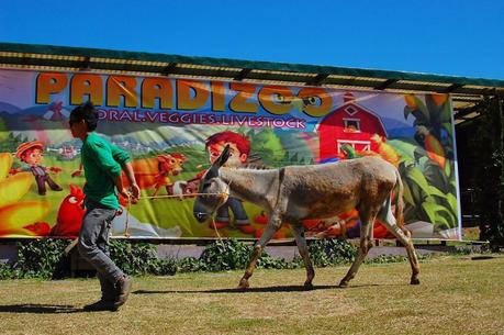 Power of Three Festival 2014 at Paradizoo: a Paradise Experience for Farm Lovers