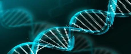 Genetic codes may not be found only in our DNA