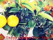 Happy Lunar Year 2014!