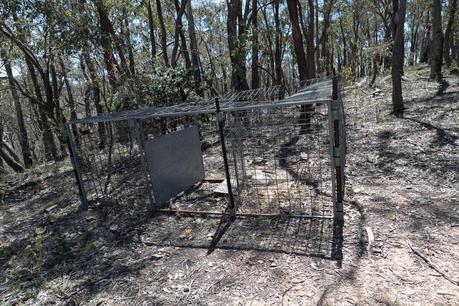 metal animal cage lerderderg gorge