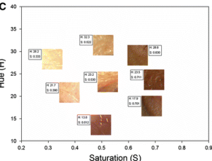 Skin color with different levels of hue and saturation. The latter appears to be controlled by a gene Europeans inherited from Neanderthals