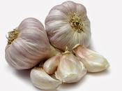 Amazing Benefits Garlic
