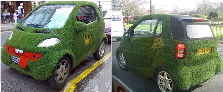 Smart Car Inspired grass