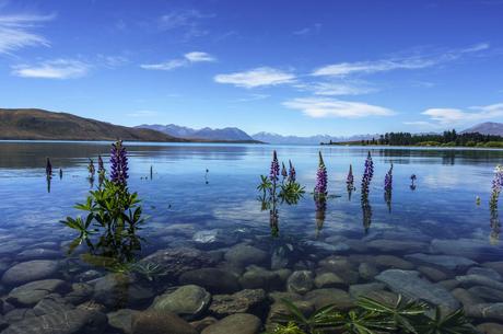 Towards the Mountains - Queenstown & Wanaka