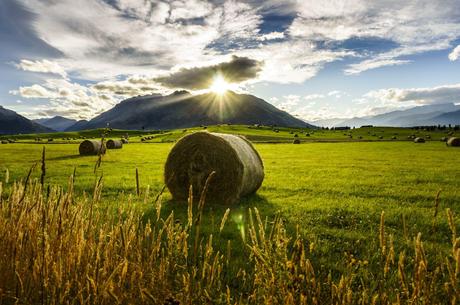 Towards the Mountains - Queenstown & Wanaka