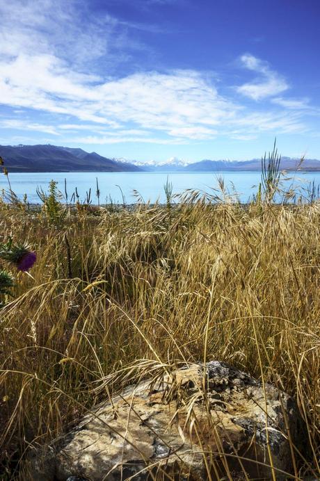 Towards the Mountains - Queenstown & Wanaka