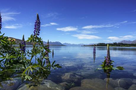 Towards the Mountains - Queenstown & Wanaka