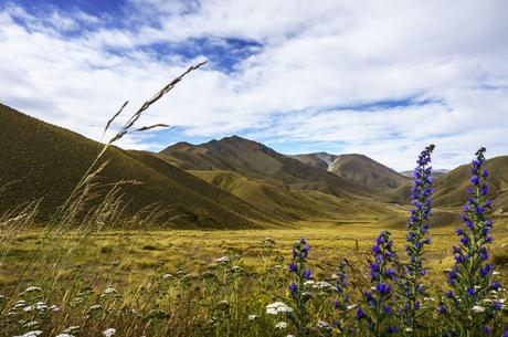 Towards the Mountains - Queenstown & Wanaka