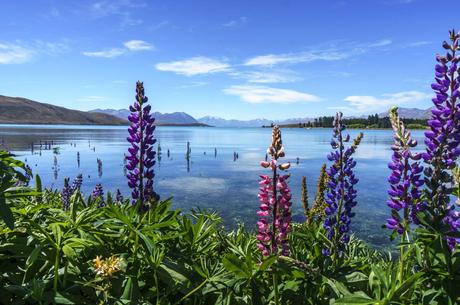 Towards the Mountains - Queenstown & Wanaka