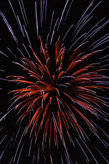 Fireworks 2  [Sky Watch Friday]