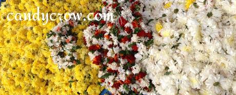  Flower Market | Hyderabad - Serilingampally market