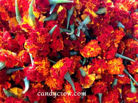 Flower Market | Hyderabad 