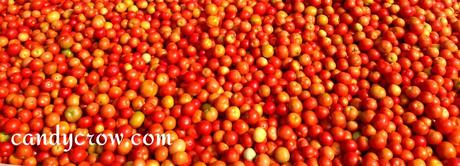 Vegetable market Hyderabad