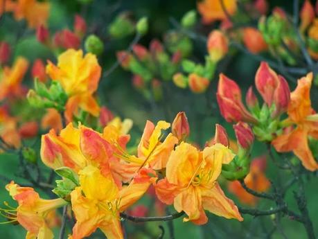 The Old Man Crucified