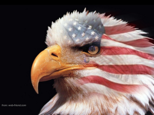 Eagle. American flag. Freedom.