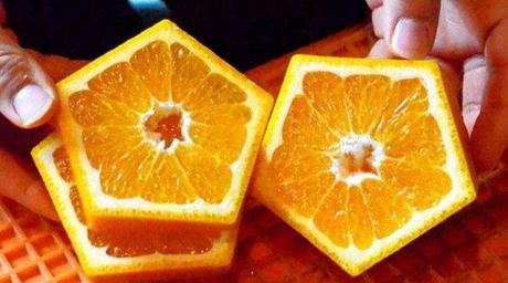 pentagon-oranges-2