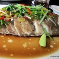 Steamed baby ‘Grouper’ with Cantonese sauce