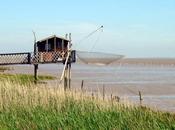Carrelets: Picturesque Estuary-side Fishing Huts