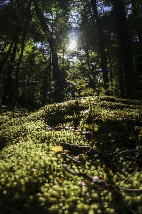 A 'Remarkable' place A 'Remarkable' place