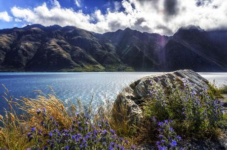 A 'Remarkable' place A 'Remarkable' place