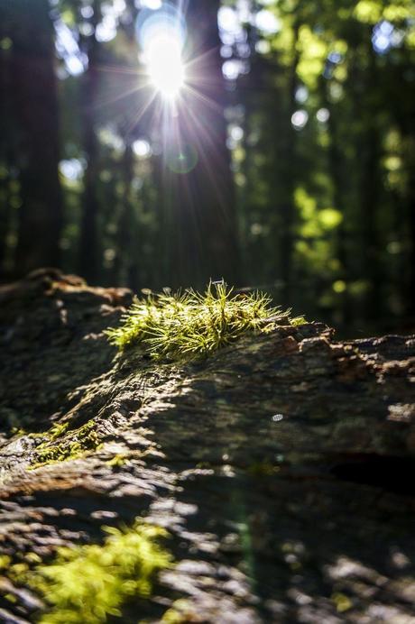 A 'Remarkable' place A 'Remarkable' place