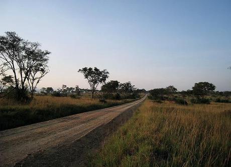 Uganda Road. Photo by Alexandra Mitchell
