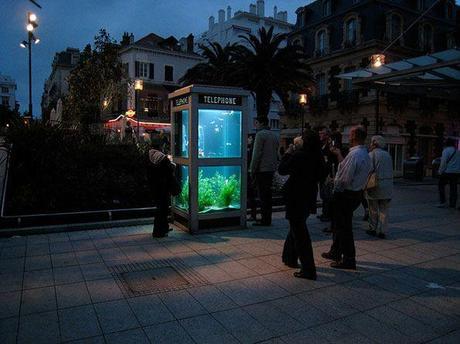 fish-phone-booth-2