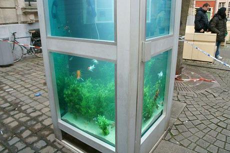 fish-phone-booth-3