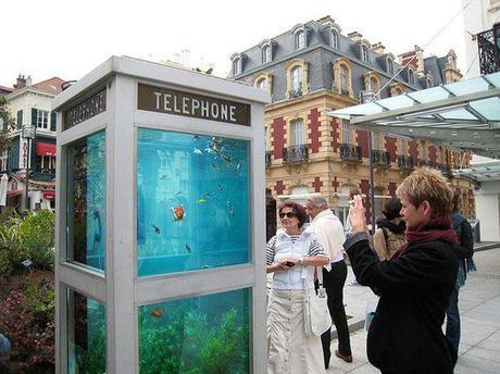 fish-phone-booth-4