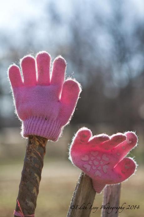 weekly photo challenge, wordpress, object, Prospect Park, Brooklyn, kid gloves, gloves, pink,
