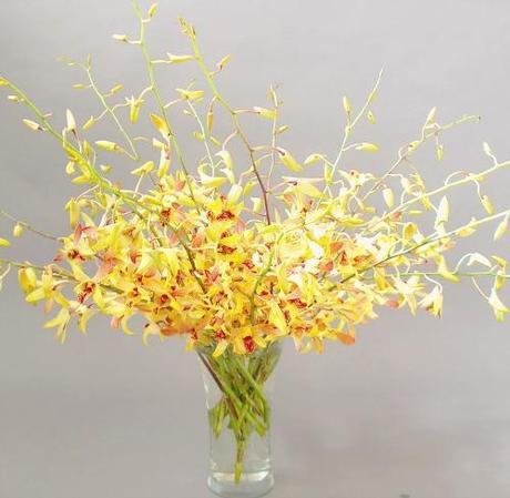 yellow orchid arrangement
