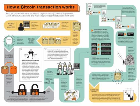 In Defense of Bitcoin: Erik Voorhees Open Letter to Peter Schiff