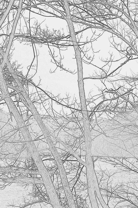 Shades of Gray