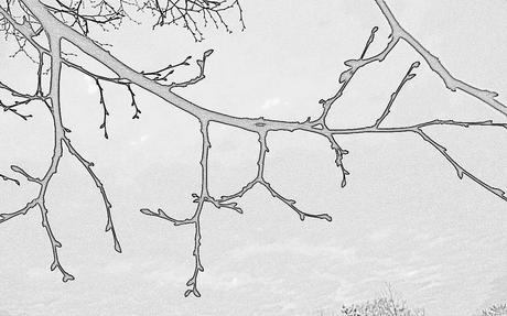 Shades of Gray