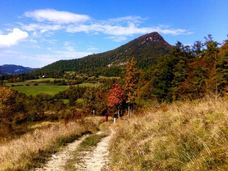 Hiking trails in Montedimezzo Nature Reserve
