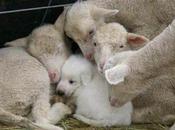 Warm Fuzzies Start Your Week!