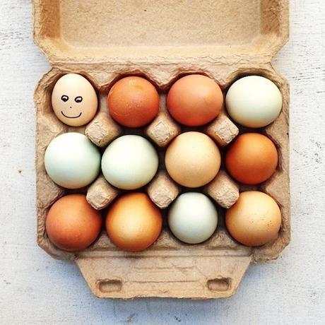 Back where it all started… Eggs_carton