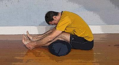 All About the Spine: Anatomy and Movements