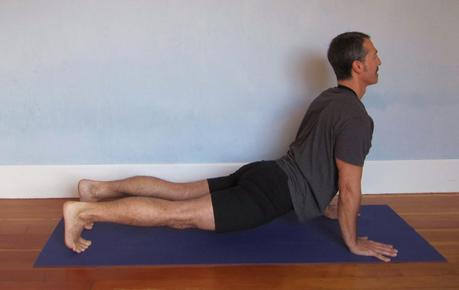 All About the Spine: Anatomy and Movements