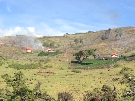 Sengwer houses being burnt by Kenya Forest Service guards on January 16, 2014. (Photo: Forest Peoples Programme)