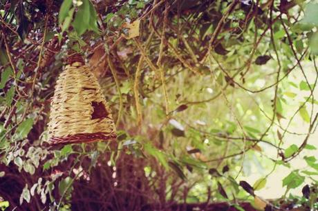 wicker bird nesting box