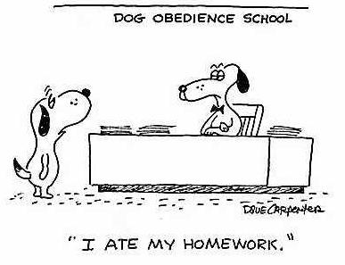 dog obidience training