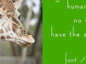 Just Type Hopeful Giraffe