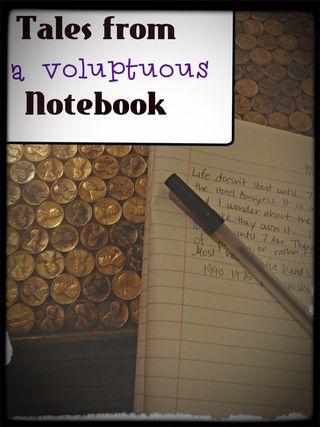 Voluptous notebook tales