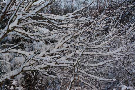 The joy of winter