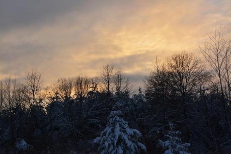 The joy of winter